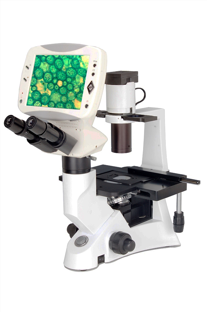 BLM-290 - Digital LCD Inverted Biological Microscope