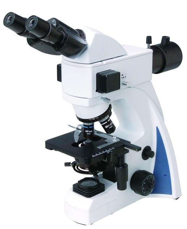 BS-2040F - LED Fluorescent Biological Microscope