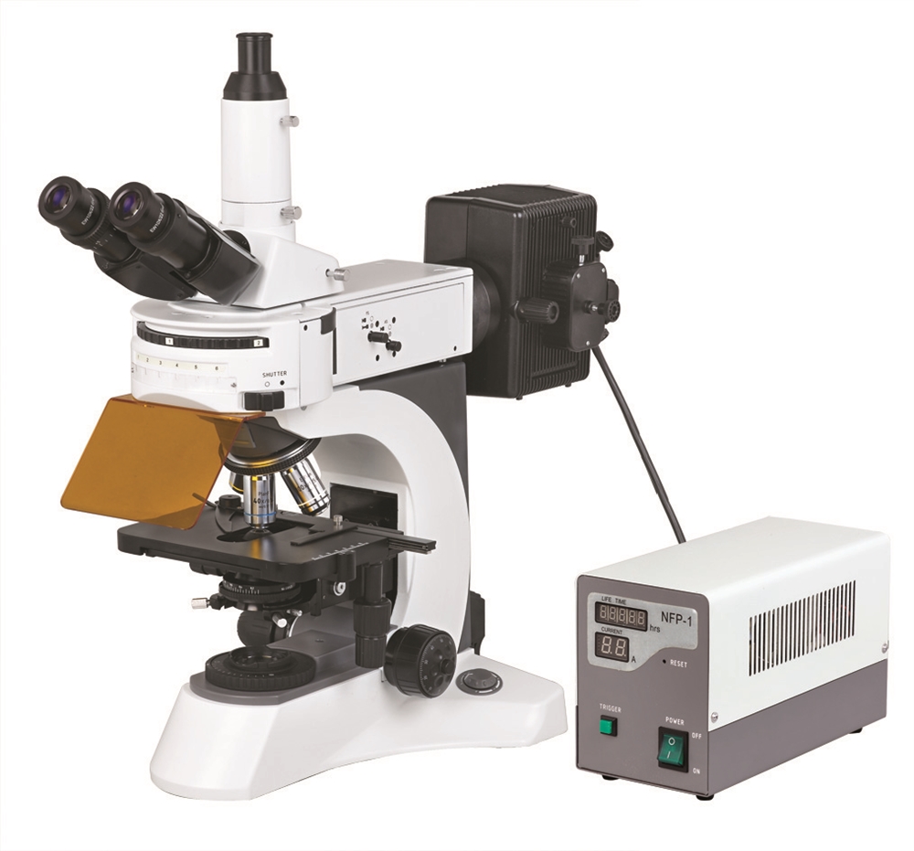 BS-7000A - Upright Fluorescent Biological Microscope