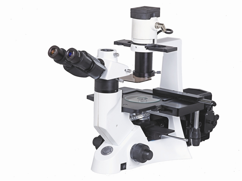 BS-7000B - Inverted Fluorescent Biological Microscope